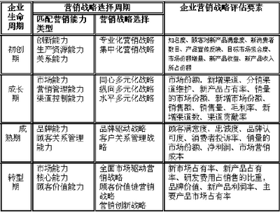 天法道：企業(yè)生命周期管理中的營銷戰(zhàn)略評估