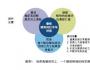 如何打造高績效團隊？
