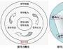 “寬容領(lǐng)導(dǎo)力”是老板影響力的基因