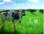 太子樂奶粉，伴隨寶寶健康快樂成長