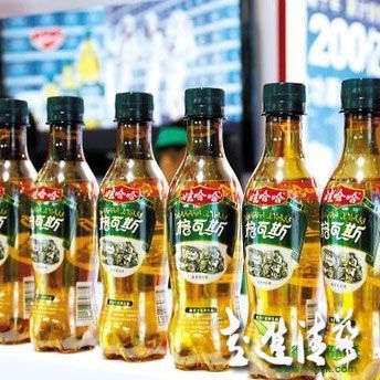 娃哈哈強勢營銷 成就秋林