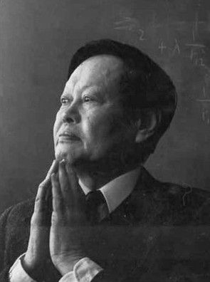 楊振寧 楊振寧