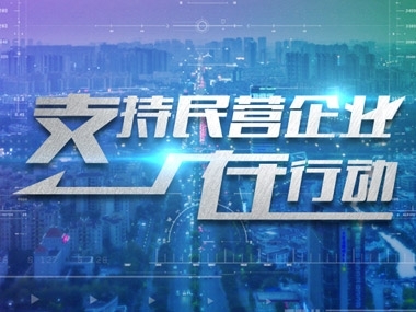 論民企的“游擊戰(zhàn)”和“陣地戰(zhàn)