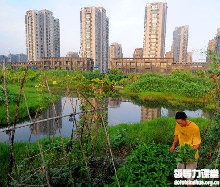 企業(yè)金融力建設(shè)序言：企業(yè)悶頭干產(chǎn)業(yè)，不如高調(diào)搞管理