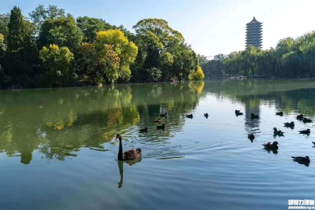 標桿地產金融EMBA總裁研修班10月課程圓滿落幕