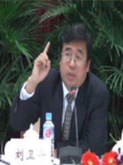 劉衛(wèi)平