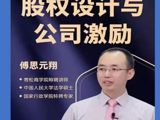 傅思元翔:股權(quán)設(shè)計(jì)與公司治理