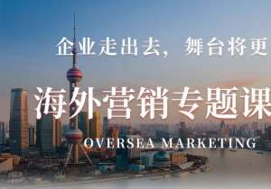海外營(yíng)銷專題課程