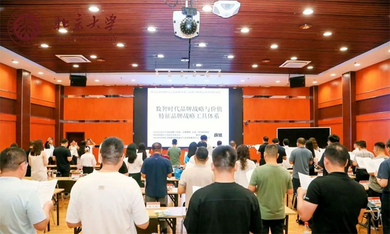 北京大學(xué)AI領(lǐng)航者研修班“數(shù)字時代品牌戰(zhàn)略與價值特征”課程回顧